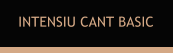 INTENSIU CANT BASIC
